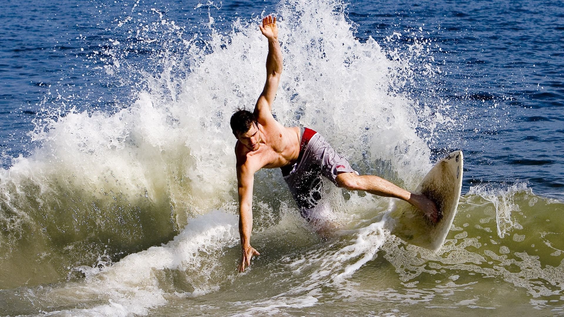 羽破晨曦,当坚韧之火点燃灵性之光